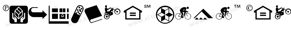 PIXymbols Digit Cloc字体转换